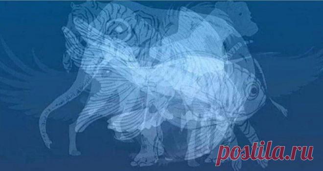 Тест по картинке «НА ХАРАКТЕР»
Посмотрите внимательно на изображение и напишите в комментариях кого первым вам удалось разглядеть? #психология #психологический тест #характер человека #психология жизни
Читай пост далее на сайте. Жми ⏫ссылку выше