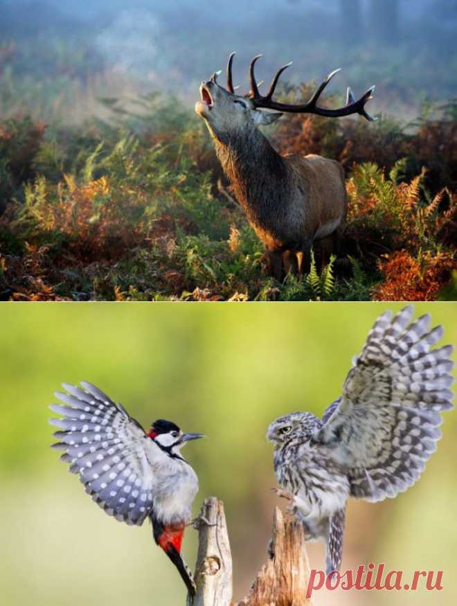 Красивые фотки (20 фотографий) » RadioNetPlus.ru развлекательный портал