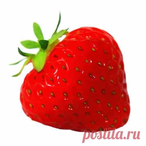 клипарт «дары природы