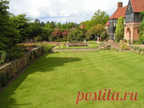 Как правильно сделать газон: технология посадки, полива и ухода за газоном на даче зимой и летом