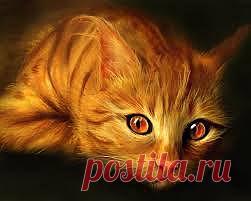 Результат поиска Google для http://www.sunhome.ru/UsersGallery/wallpapers/38/2095455.jpg