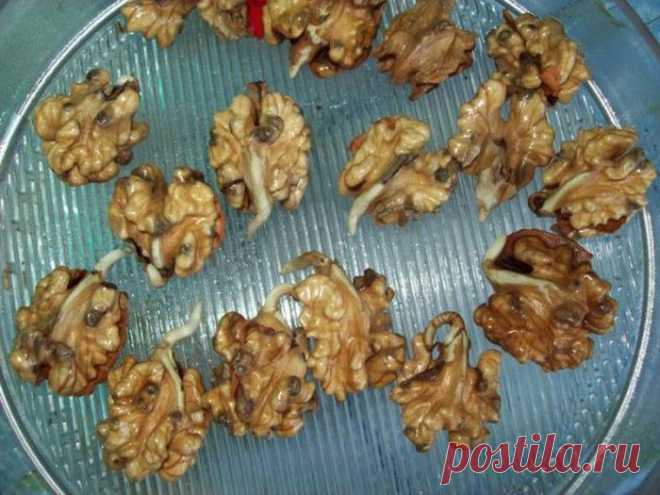 Пророщенные грецкие орехи для омоложения