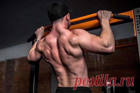 Тренер посоветовал упражнения для прокачки мышц спины. Фитнес-тренер Максим Калагур посоветовал упражнения для прокачки мышц спины на улице. Первыми он предложил делать классические подтягивания на перекладине с широким хватом. Упражнение выполняется в четыре подхода с максимальным количеством повторений. Далее он предложил делать тягу на брусьях.