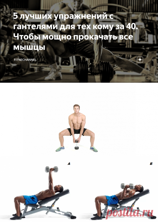5 лучших упражнений с гантелями для тех кому за 40. Чтобы мощно прокачать все мышцы | fitnechannel | Яндекс Дзен