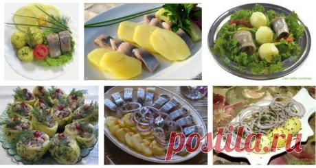 Рецепты: Соленая селедка – 17 лучших рецептов. Как посолить селедку в домашних условиях вкусно?