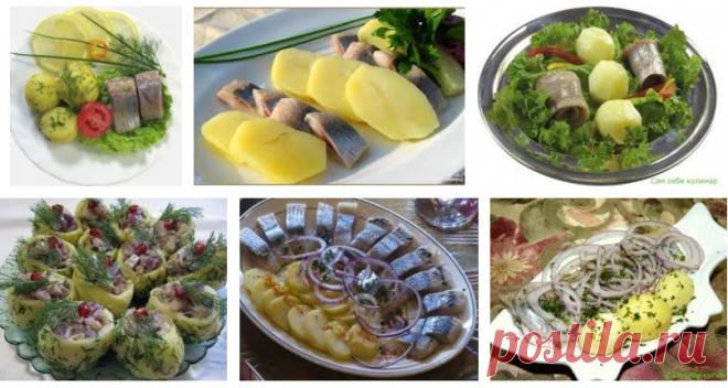 Рецепты: Соленая селедка – 17 лучших рецептов. Как посолить селедку в домашних условиях вкусно?