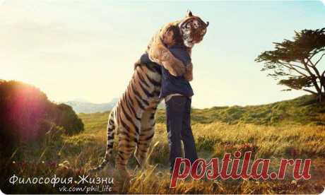 Дари себя тому, кто будет благодарен, кто понимает, любит вас и ценит.
Омар Хайям
"Статусы . Всё Лучшее в Контакте ."