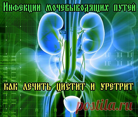Лечение инфекций мочевыводящих путей – как избавиться от цистита и как лечить уретрит
Инфекции мочевыводящих путей
Тревожное письмо мне пришло не так давно, и в нем просьба о помощи советом. Тема – инфекции мочевыводящих путей. А я, как оказалось, еще не затрагивал эту проблему в своих записях. Поэтому решил ответить не лично адресату, а в виде этой публикации. Итак, сегодня речь пойдет о том, как избавиться от цистита и как лечить уретрит.