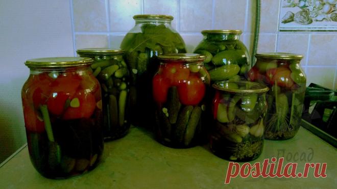 5 необычных способов применения огуречного рассола. А вы по-прежнему его выливаете ? | Посад | Яндекс Дзен