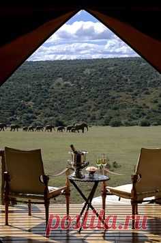 The Elephant Camp - Victoria Falls, Zimbabwe