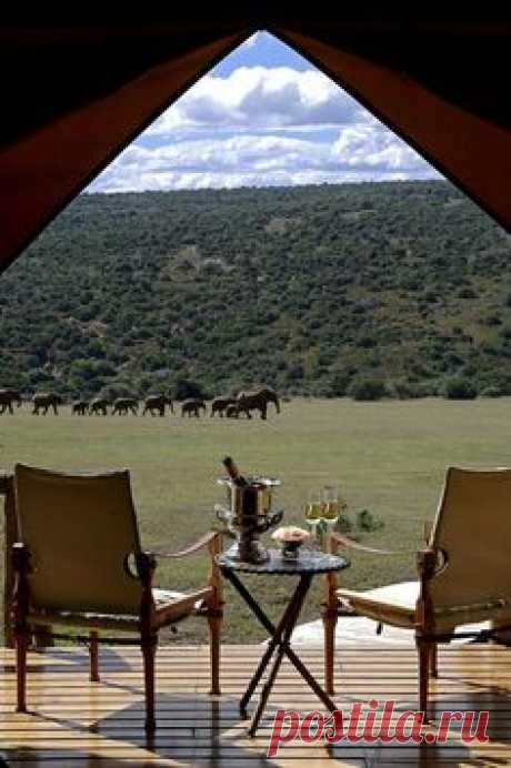 The Elephant Camp - Victoria Falls, Zimbabwe
