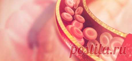 Как предотвратить тромбоз: восемь продуктов для разжижения крови — Барановичи. Intex-press — Новости Барановичского региона