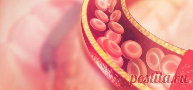 Как предотвратить тромбоз: восемь продуктов для разжижения крови — Барановичи. Intex-press — Новости Барановичского региона