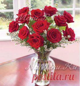 Что добавить в воду, чтобы розы дольше стояли