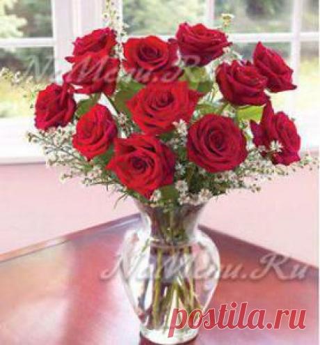 Что добавить в воду, чтобы розы дольше стояли