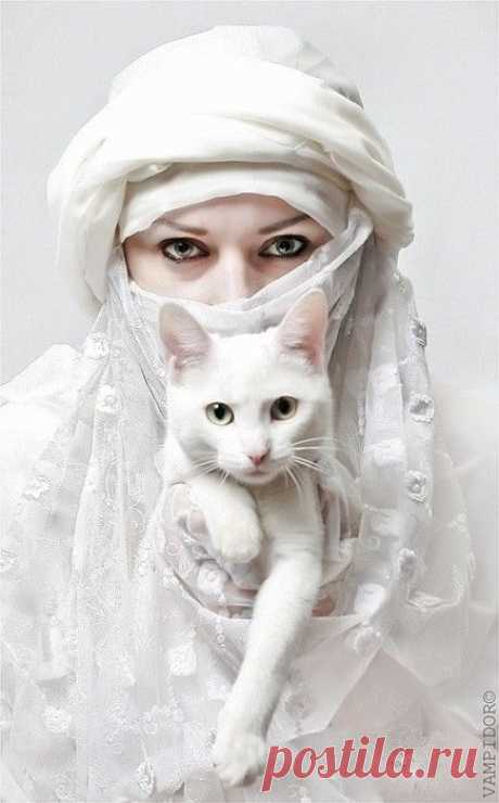 Pinterest: инструмент для поиска и хранения интересных идей