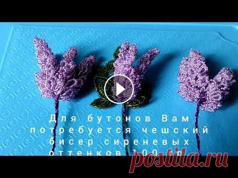Сирень из бисера своими руками! Для сирени Вам потребуется: 100 гр. чешского бисера сиреневых оттенков 100 гр. чешского бисера зелёных оттенков проволока 0,4 мм. сиреневая и зелёная ...