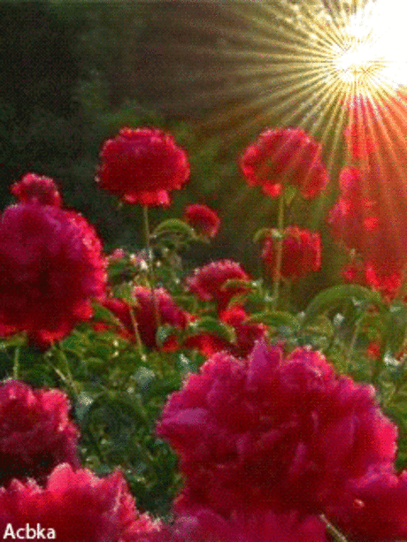 ❤❤❤❤Jai shree Radha Krishna ❤❤❤❤ I was walking all alone, on a road of rocks...