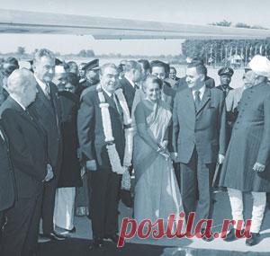 Наша удивительная планета: Как кот Лама трижды спас жизнь Леониду Ильичу Брежневу