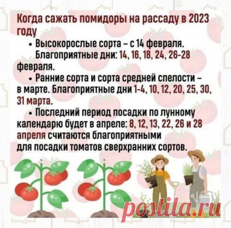 Не пропустите момент
Обязательно всё рассчитайте