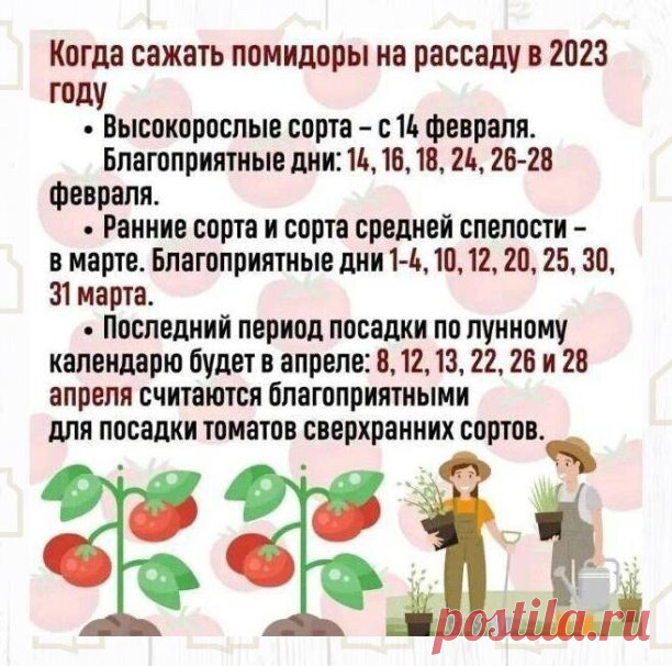 Не пропустите момент
Обязательно всё рассчитайте