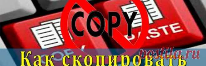 Как скопировать с сайта текст где нельзя скопировать 6 способов его разблокировать.