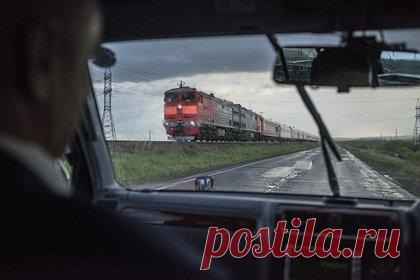 РЖД выплатили более двух миллионов рублей за сбитого амурского тигра. ОАО «Российские железные дороги» (РЖД) выплатили государству более 2 миллионов рублей за амурского тигра, которого сбил поезд. Согласно опубликованной информации, животное было сбито грузовым составом на 8667-м километре перегона Дальневосточной железной дороги Аван-Котиково в Вяземском районе Хабаровского края.