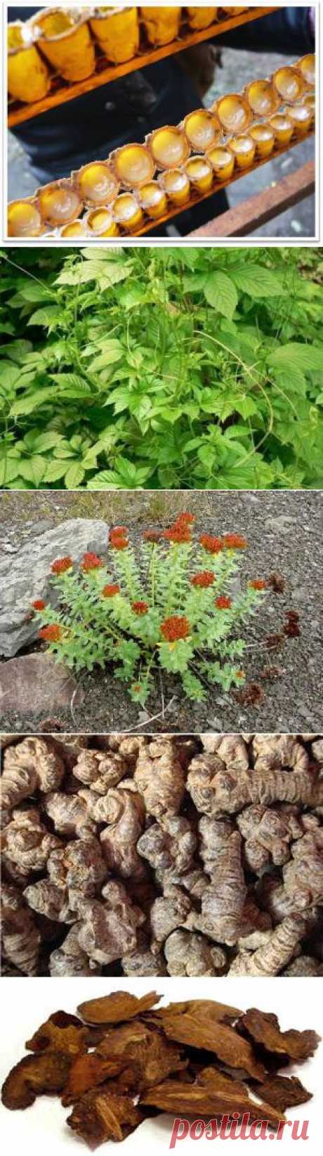 Топ-10 секретов китайской медицины против старения