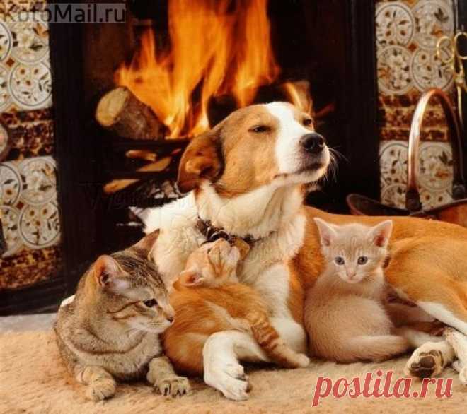 Уютная зимушка