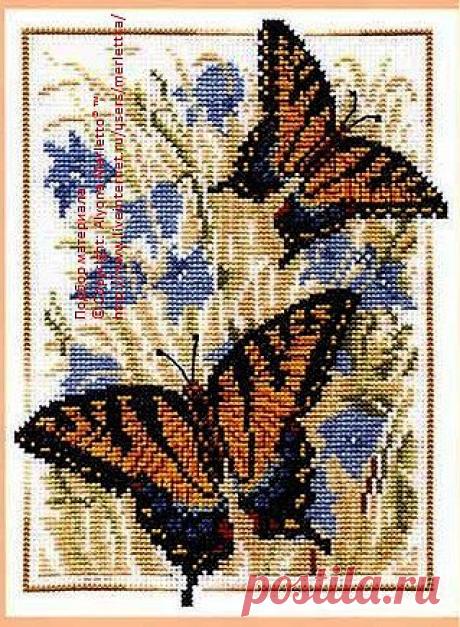Схемы для вышивки &quot;Золотое руно&quot;... Махаон.