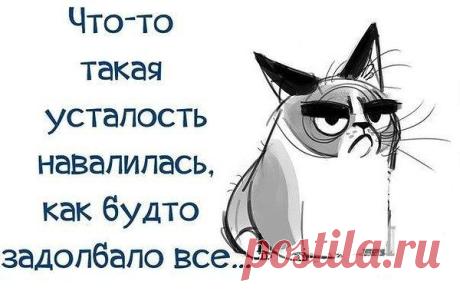 Интересные новости