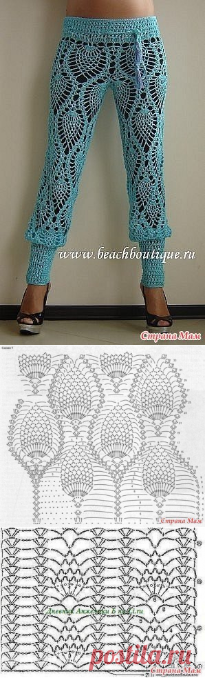 штаны