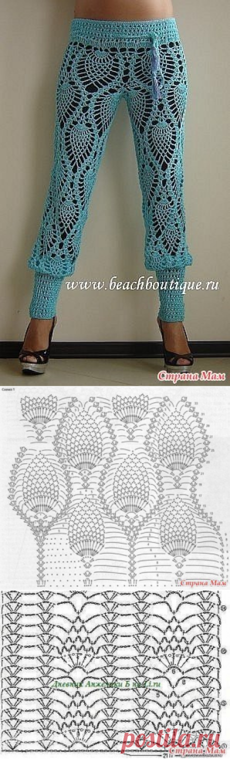штаны