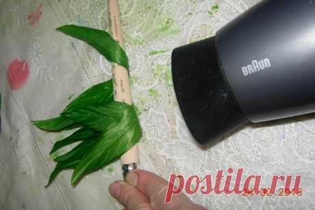 Потрясающий мастер-класс по изготовлению потрясающих брошек