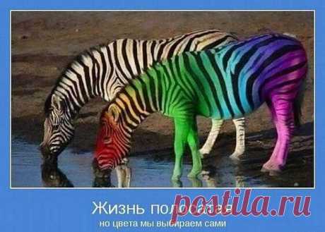 мотивация