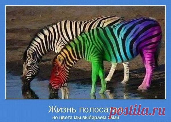 мотивация