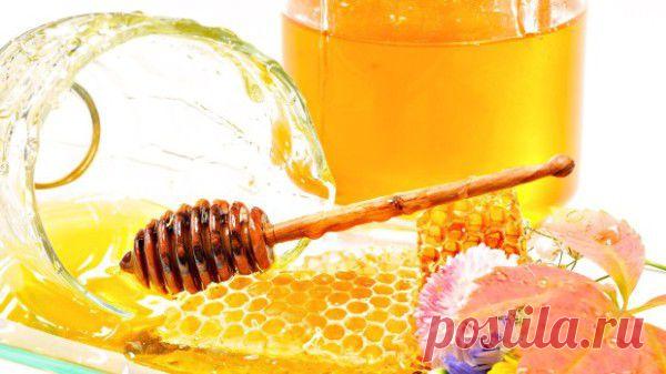 Медовуха | Дачный участок