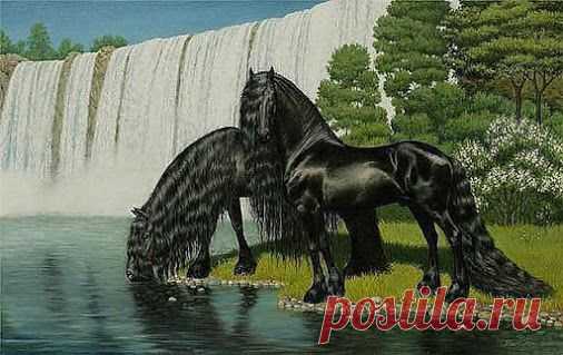 Алла Пушистая (Алусик) – Google+