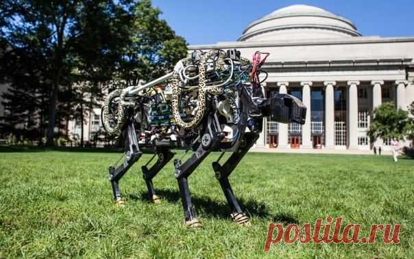РОБОТ CHEETAH НАУЧИЛСЯ ПЕРЕПРЫГИВАТЬ ПРЕПЯТСТВИЯ НА БЕГУ / Интересное в IT