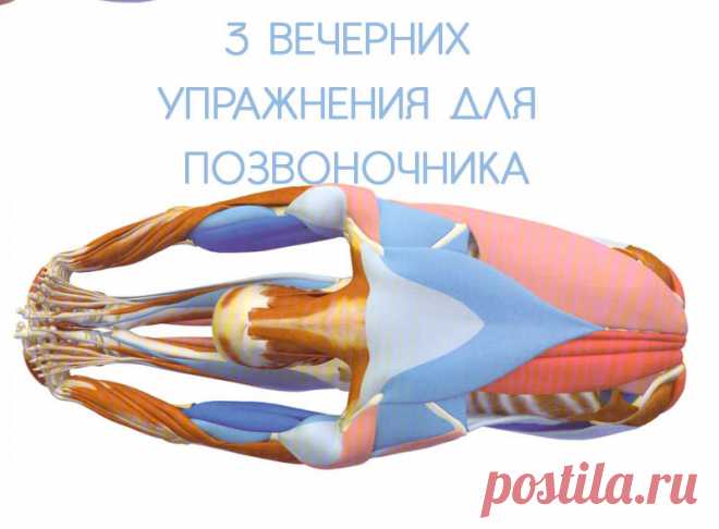 3 вечерних упражнения для здоровья позвоночника