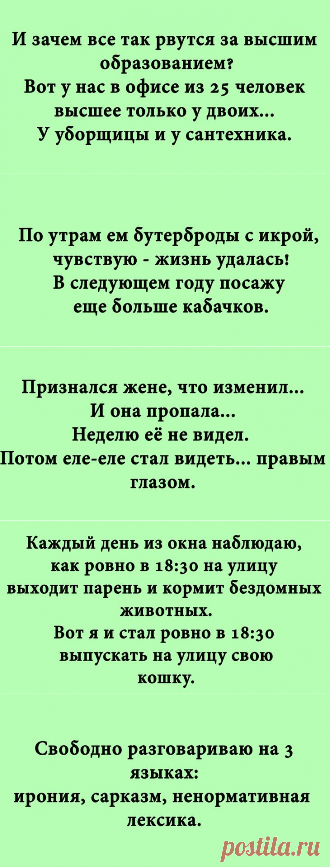 Смешные картинки и веселые истории