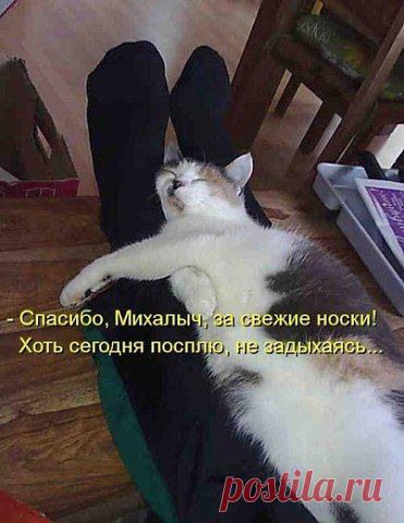 Интересные новости