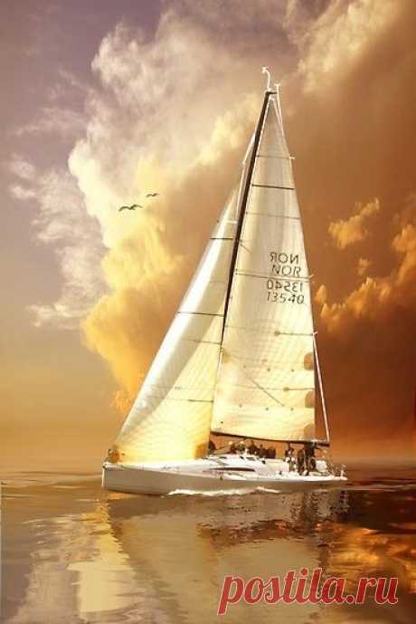 (3) Pinterest • The world’s catalog of ideas