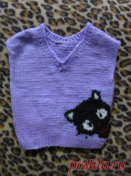 Жилет с кошкой.