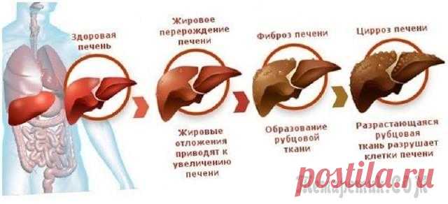 Салат Метелка