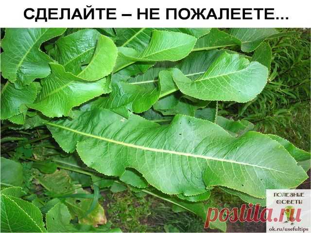 ПОЛЕЗНЫЕ СОВЕТЫ : Сохраните, чтобы не потерять.