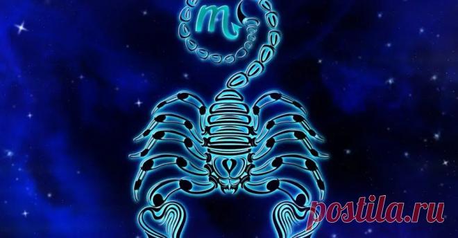Знак зодиака Скорпион: 40+ интересных фактов о самом загадочном знаке ♏