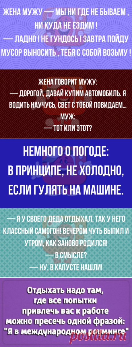 Чёткий юмор для хорошего начала дня