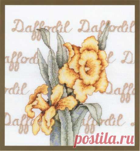 Gallery.ru / Фото #1 - Daffodil - denise10