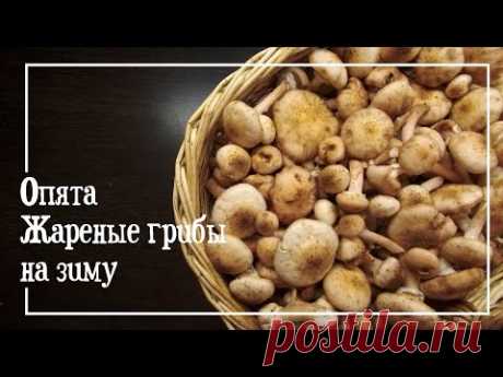 Опята / Жареные грибы на зиму / Проще Простого